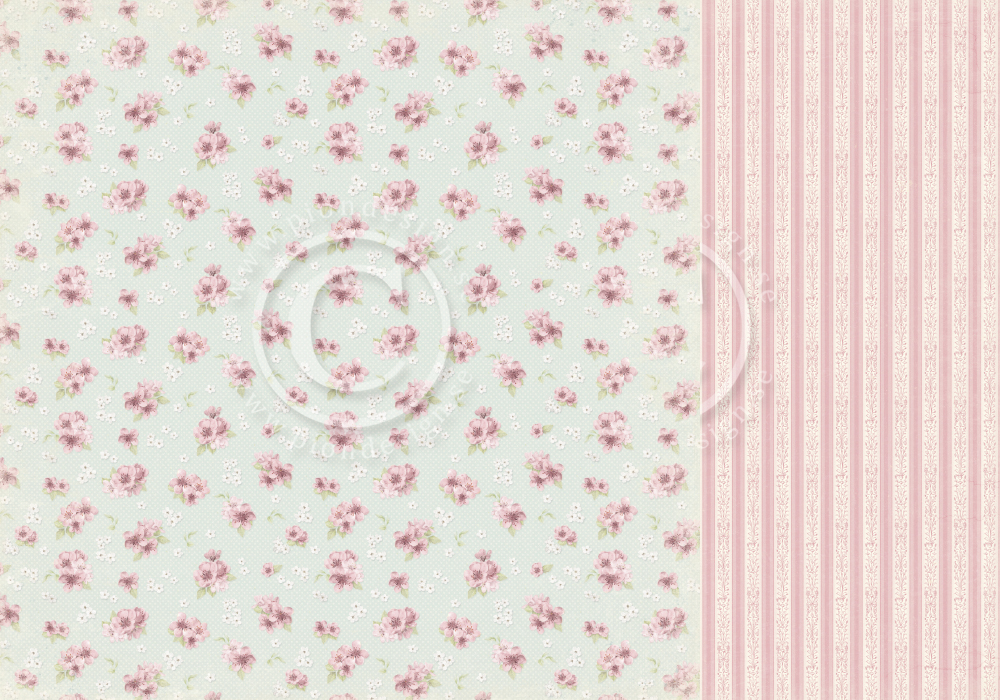 pion papier/cherry blossom lane/175291407-origpic-a5dd8e.jpg